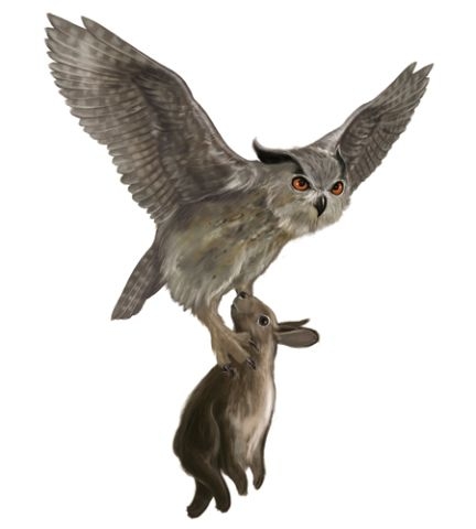 ワシミミズク