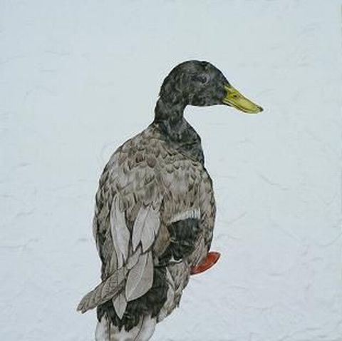 カモ
