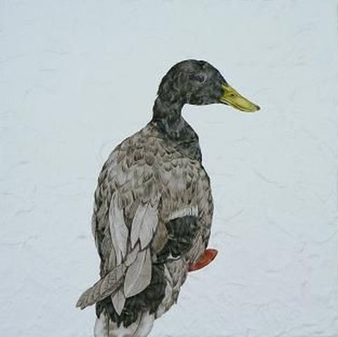 カモ