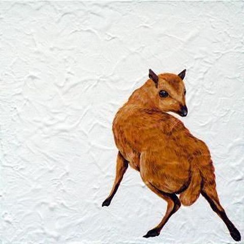 マメシカ