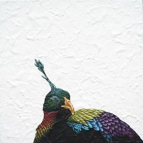 ニジキジ