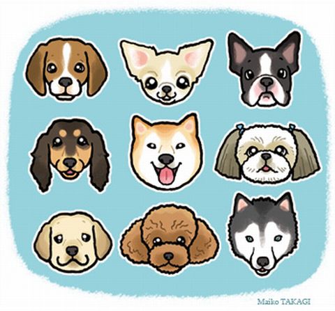 犬