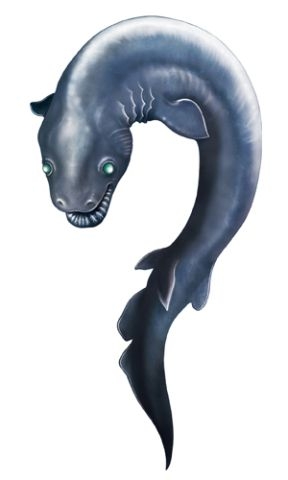 ラブカ