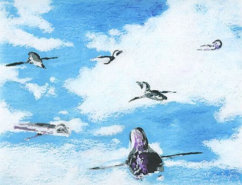 penguin in the sky