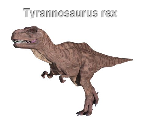 T-REX