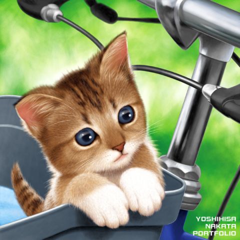 猫と自転車