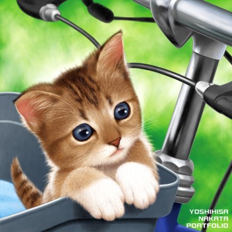 猫と自転車