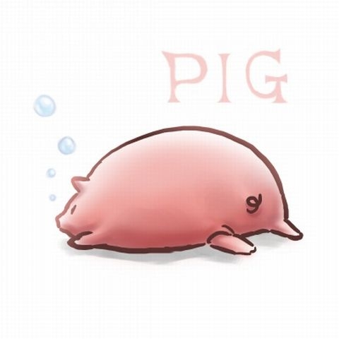 PIG