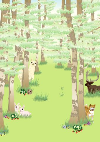 in the forest