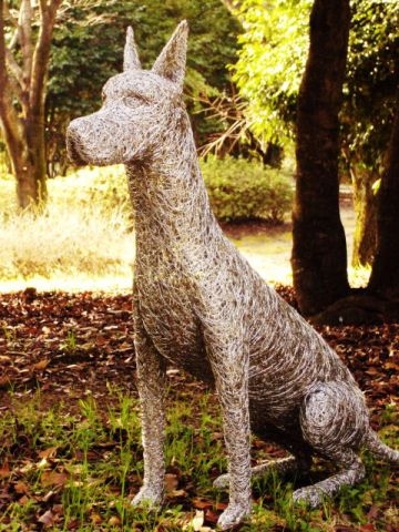 Great Dane.2