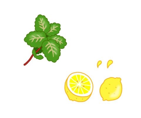 ミントとレモン