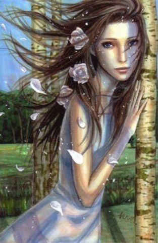 The Daydream