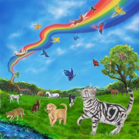 the Rainbow Bridge