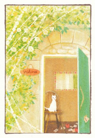 white cat