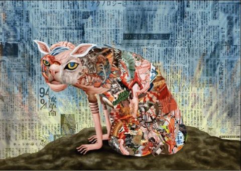 毒の猫