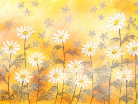 camomile01