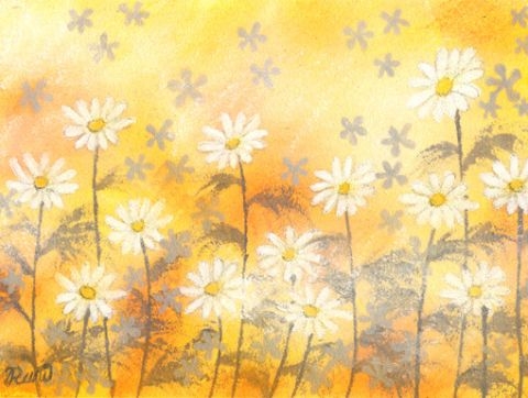 camomile01