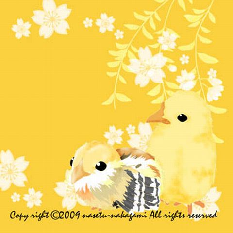 ちゃぼひよこ