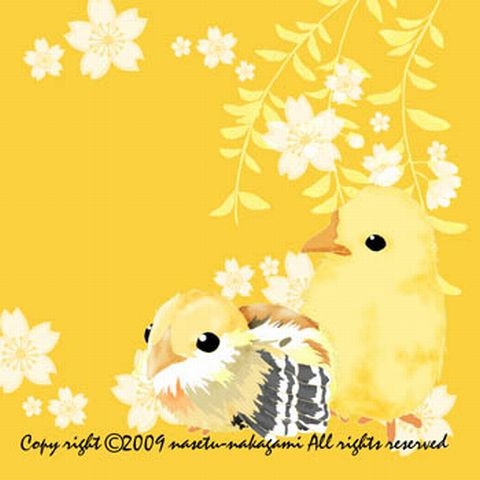 ちゃぼひよこ