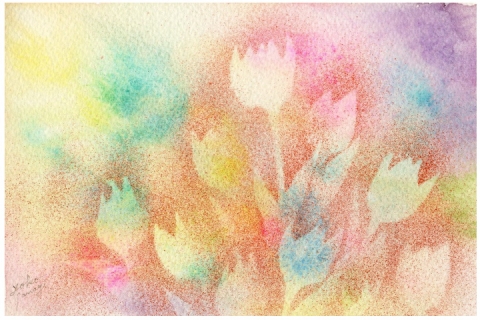 Tulip Rainbow