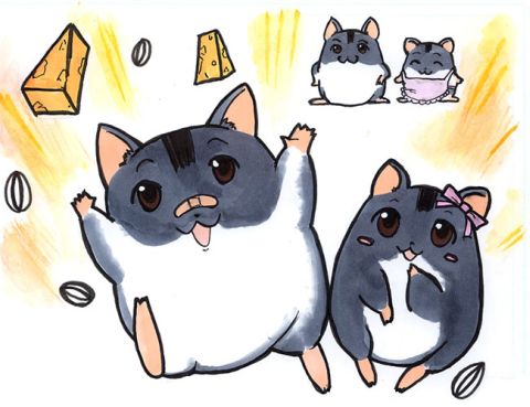 ハムスター
