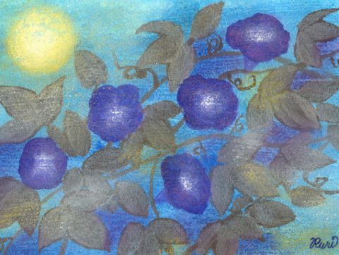 morning-glory01