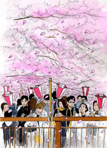 桜