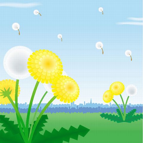 spring