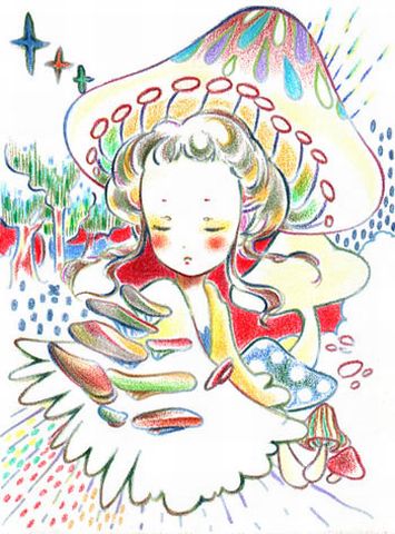 きのこのこ