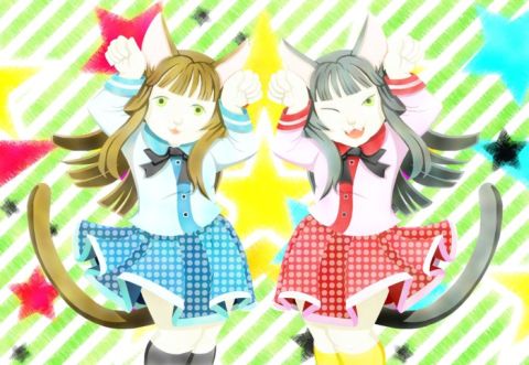 双子の美少女猫