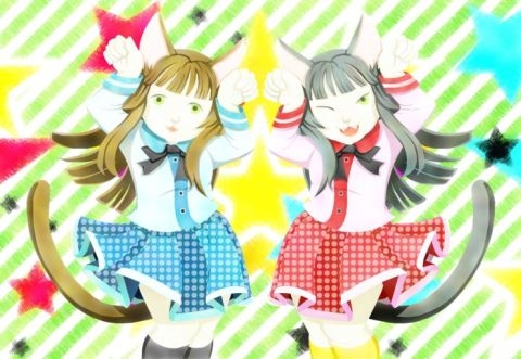 双子の美少女猫