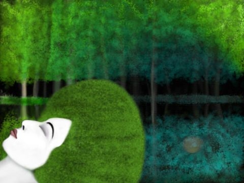 真夜中のジャングル