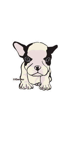 dog-1