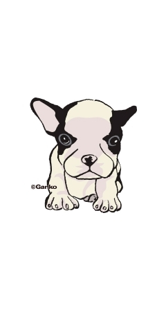 dog-1