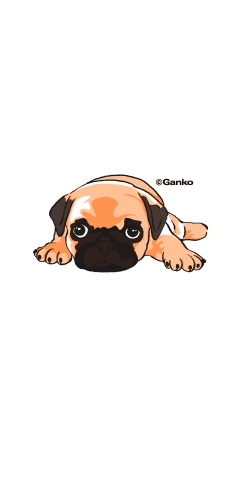 dog-2