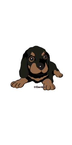 dog-4