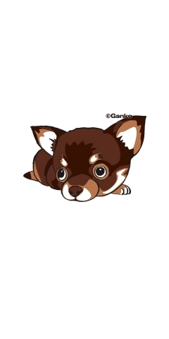 dog-5
