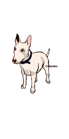 dog-6