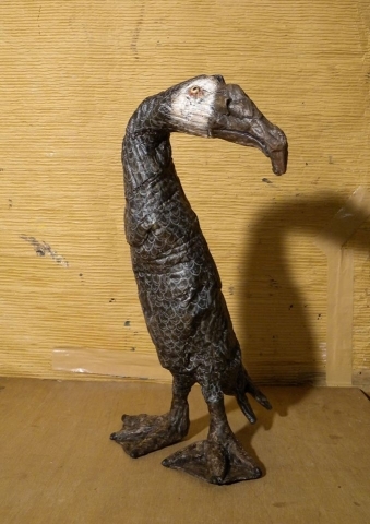 アホウドリ