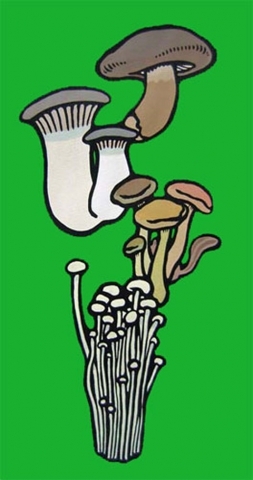 オリジナル