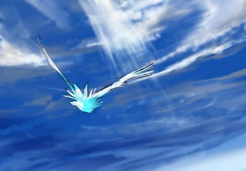 空と鳥