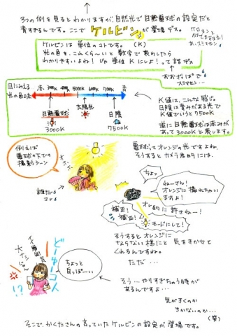 設定解説/イラストレポ