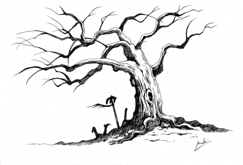The tree after the fact