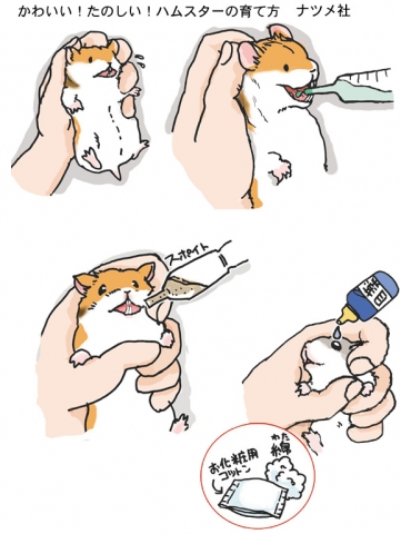 ハムスター／飼育本挿絵