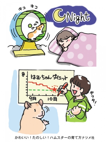 ハムスター／飼育本挿絵