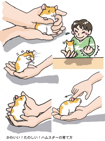 ハムスター／飼育本挿絵
