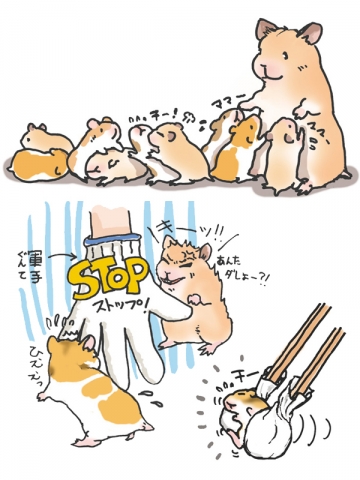 ハムスター／飼育本挿絵
