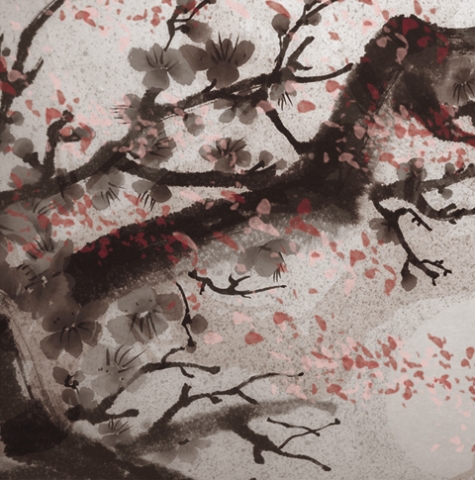 sakura