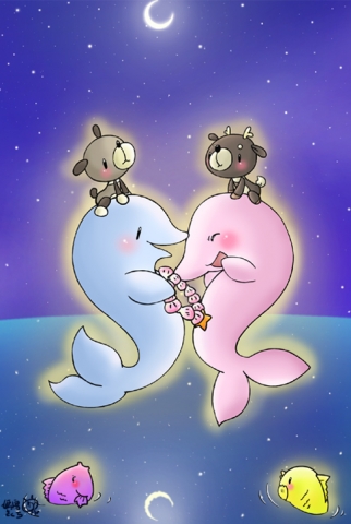 星空とイルカ