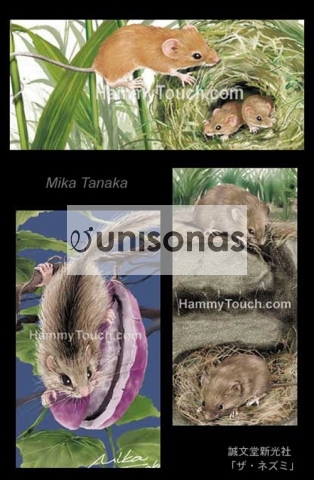 書籍：実用書/飼育本